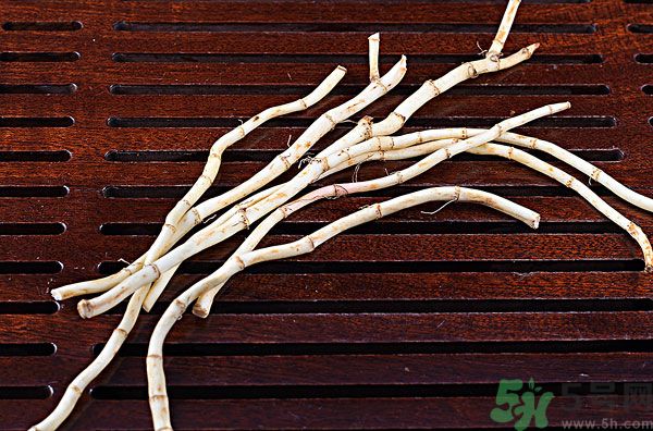 魚腥草能泡水喝嗎？魚腥草泡水喝有什么功效？