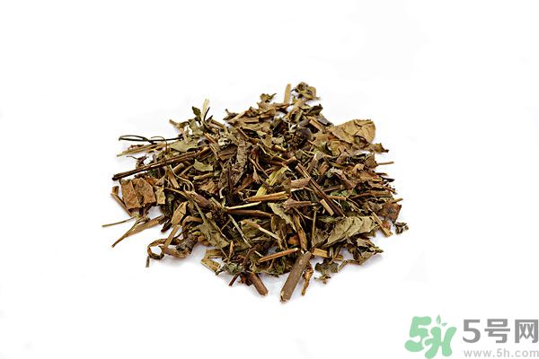 魚腥草能泡水喝嗎？魚腥草泡水喝有什么功效？