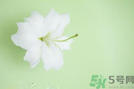 春季咳嗽怎么辦？春季咳嗽吃什么好？