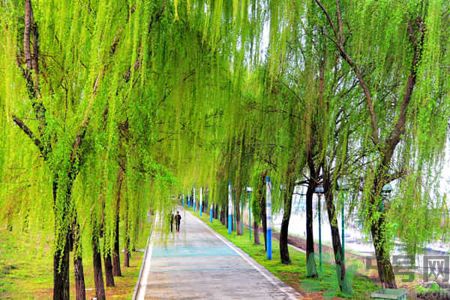 春天適合什么運(yùn)動(dòng)？春天做什么運(yùn)動(dòng)好？