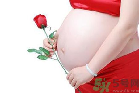 孕婦可以吃枸杞嗎？孕婦吃枸杞好嗎？