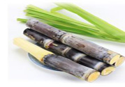 清明節(jié)可以吃甘蔗嗎？清明節(jié)不能吃哪些食物？