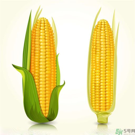 糖尿病可以吃玉米嗎？糖尿病吃玉米好嗎？