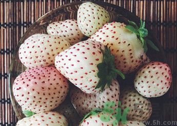 菠蘿莓好吃嗎？菠蘿莓好不好吃？