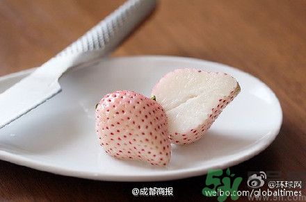 菠蘿莓好吃嗎？菠蘿莓好不好吃？