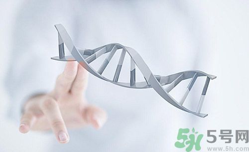 糖尿病會遺傳嗎？糖尿病會遺傳給胎兒嗎？