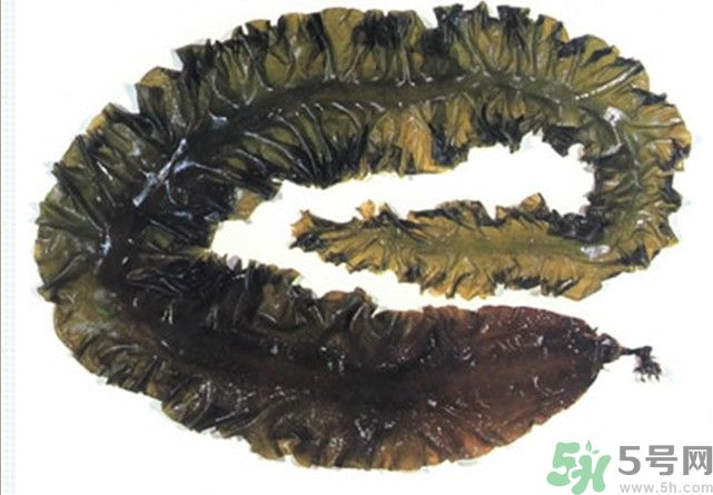 海帶用冷水泡還是熱水泡發(fā)？海帶怎么泡才不會發(fā)硬？
