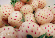 菠蘿莓孕婦能吃嗎？菠蘿莓懷孕可以吃嗎？