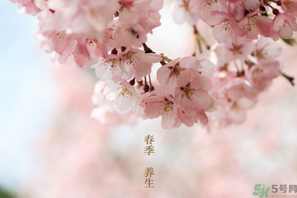 女性春季養(yǎng)生吃什么？女性春季怎么養(yǎng)生？