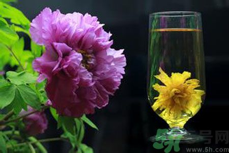 牡丹花可以和菊花一起泡嗎？牡丹花和菊花一起泡茶好嗎？