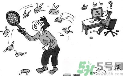 1分鐘被騙334萬 釣魚郵件內(nèi)容是什么？