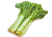 萵筍可以和芹菜一起炒嗎？萵筍和芹菜一起炒好嗎？