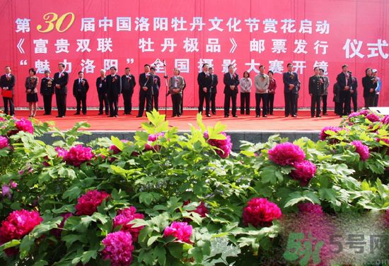 洛陽牡丹文化節(jié)活動(dòng)有哪些？洛陽牡丹文化節(jié)門票是多少？
