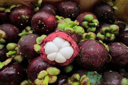 山竹可以和牛奶一起吃嗎？山竹和牛奶一起吃好嗎？