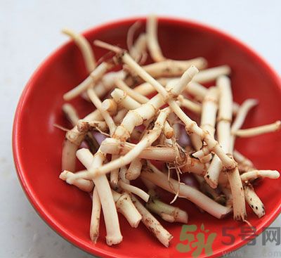 魚腥草可以和雪梨冰糖煮水喝嗎？魚腥草雪梨煲有什么好？
