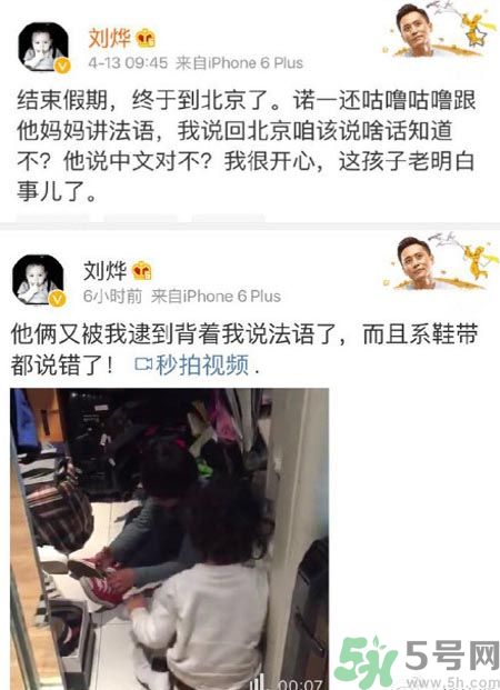 諾一雪梨是誰(shuí)？為什么叫諾一雪梨？