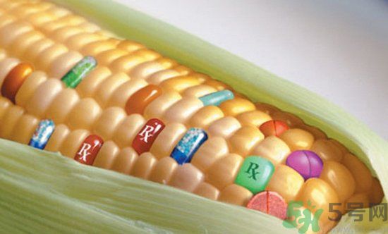 農(nóng)業(yè)部怎樣回應(yīng)轉(zhuǎn)基因食品？轉(zhuǎn)基因的食物有哪些？