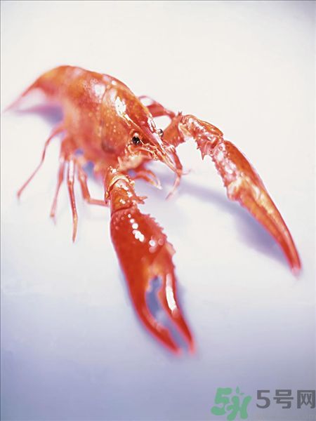 油燜大蝦為什么肉散了？油燜大蝦怎么做肉不散？