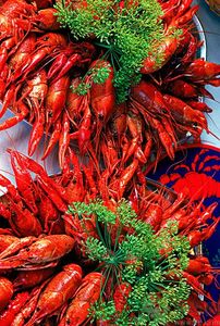 油燜大蝦用的是什么蝦？油燜大蝦用什么蝦最好？