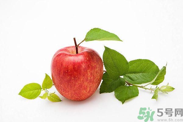 晚上9點(diǎn)以后可以吃蘋果嗎？晚上吃蘋果好不好？