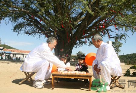 多運動可以長壽嗎？長壽的秘訣是什么？