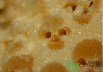 經(jīng)常用一次性筷子可以嗎？一次性筷子有病毒嗎？