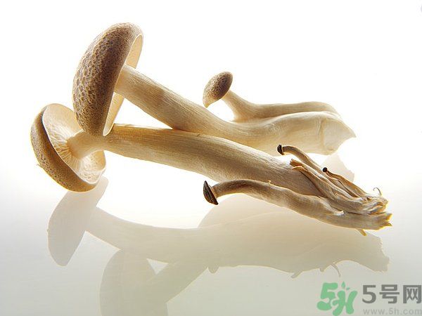 菇類的營養(yǎng)價值有哪些？怎樣挑選優(yōu)質(zhì)的菇類？