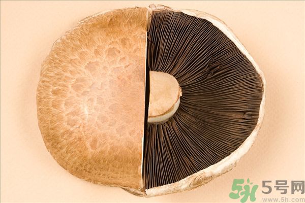 菇類的營養(yǎng)價值有哪些？怎樣挑選優(yōu)質(zhì)的菇類？