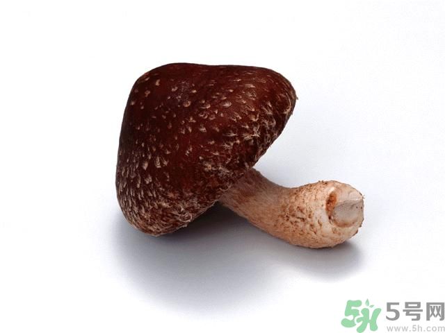 西紅柿發(fā)青可以吃嗎？青西紅柿吃了好不好？