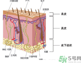為什么頭發(fā)越來(lái)越油？頭發(fā)應(yīng)該幾天洗一次？
