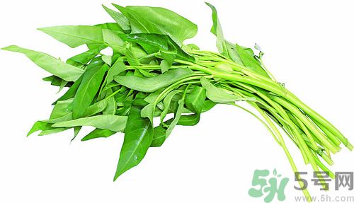 空心菜和雞能一起吃嗎？空心菜怎么吃有營養(yǎng)？
