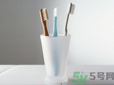 牙齦出血要換牙刷嗎？牙刷多久換一次好？