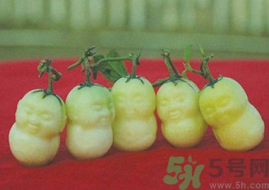 人參果怎么吃？人參果的營養(yǎng)價值有哪些？