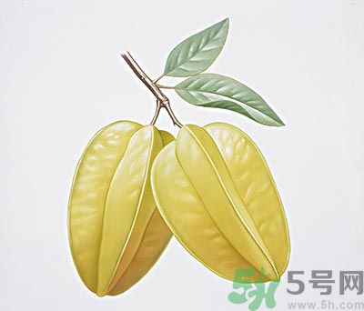 楊桃和什么不能一起吃？楊桃不能與什么同食？