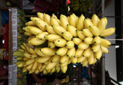 牛奶蕉是熱性還是涼性？牛奶蕉是涼性嗎？