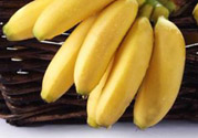 糖尿病可以吃牛奶蕉嗎？糖尿病吃牛奶蕉好嗎？