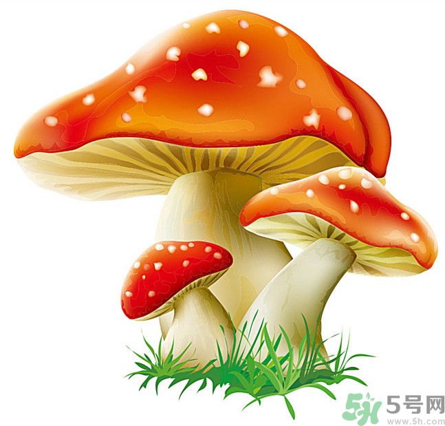 吃蘑菇可以喝酒嗎？吃蘑菇喝酒會(huì)中毒嗎？