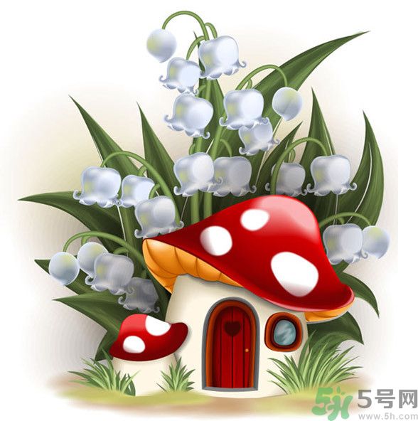 吃蘑菇可以喝酒嗎？吃蘑菇喝酒會(huì)中毒嗎？