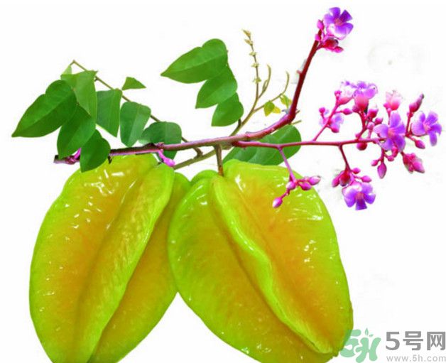 慢性腎炎可以吃楊桃嗎？慢性腎炎吃楊桃好嗎？
