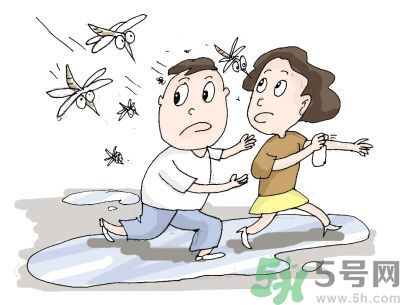 被蚊子咬很癢怎么辦？被蚊子咬要怎么止癢？