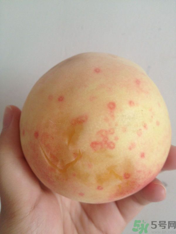 桃子上有紅點能吃嗎？桃子上有黑點可以吃嗎？