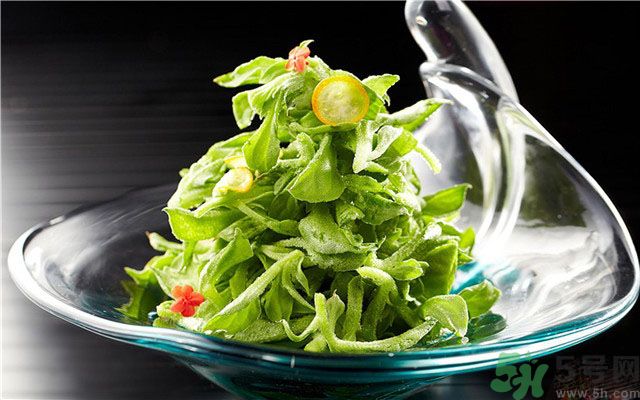 什么是冰草？冰草有什么作用？
