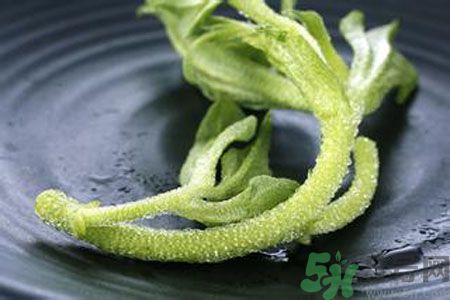冰草好吃嗎？冰草怎么做好吃？