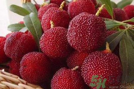 楊梅是不是發(fā)物？楊梅是發(fā)物嗎？