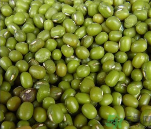 吃綠豆可以減肥嗎？喝綠豆湯能減肥嗎？