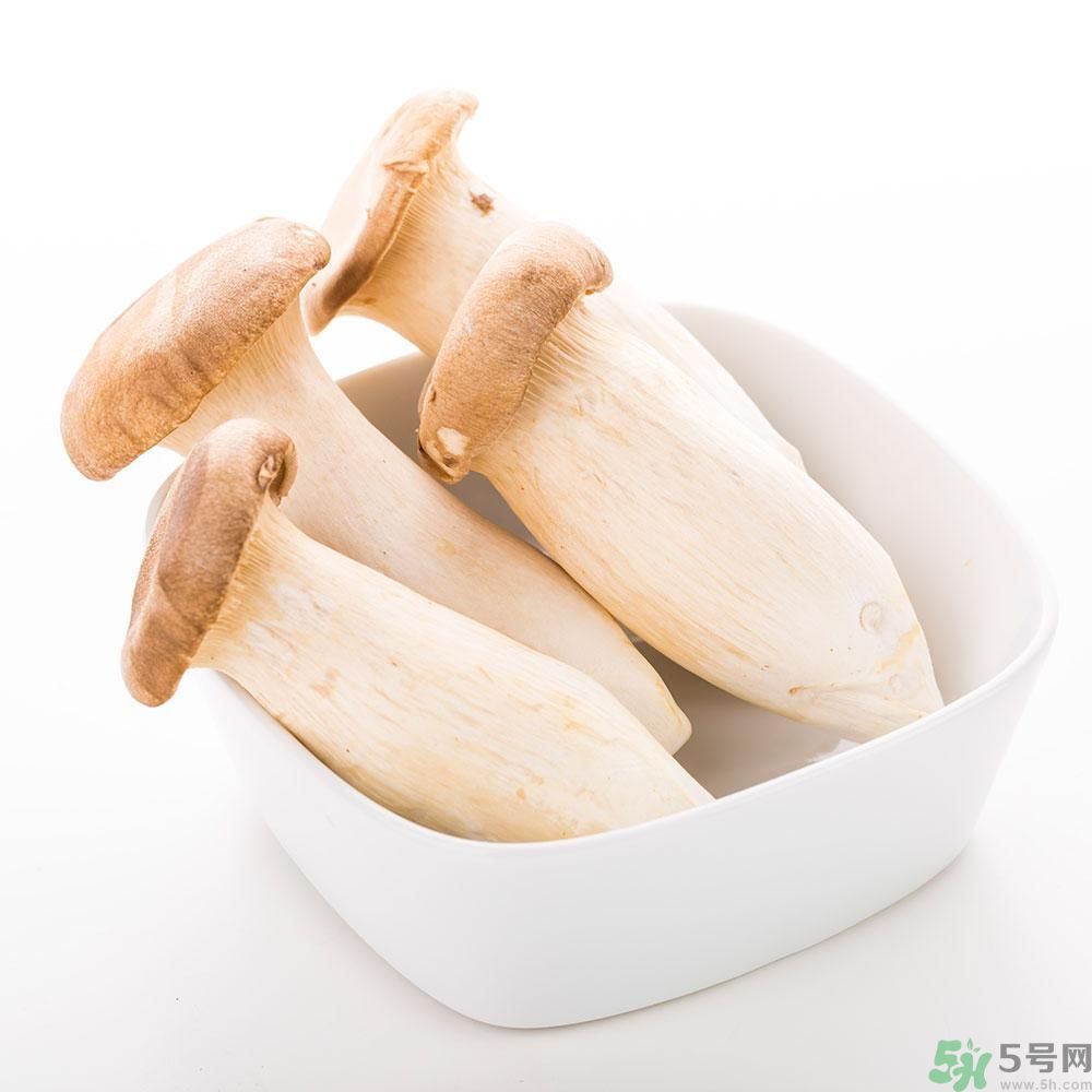 吃杏鮑菇有什么好處？吃杏鮑菇對身體好嗎？