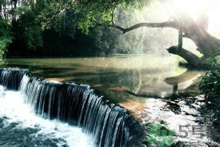 為什么夏至有雨三伏熱？夏至有雨三伏熱是什么意思？