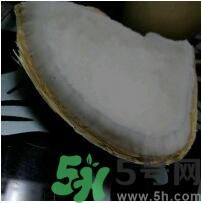 椰子可以放冰箱嗎？椰子放冰箱容易壞嗎？