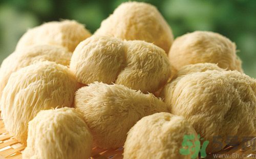 吃猴頭菇有什么好處？猴頭菇有什么營養(yǎng)價值？