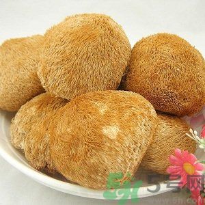 吃猴頭菇有什么好處？猴頭菇有什么營養(yǎng)價值？